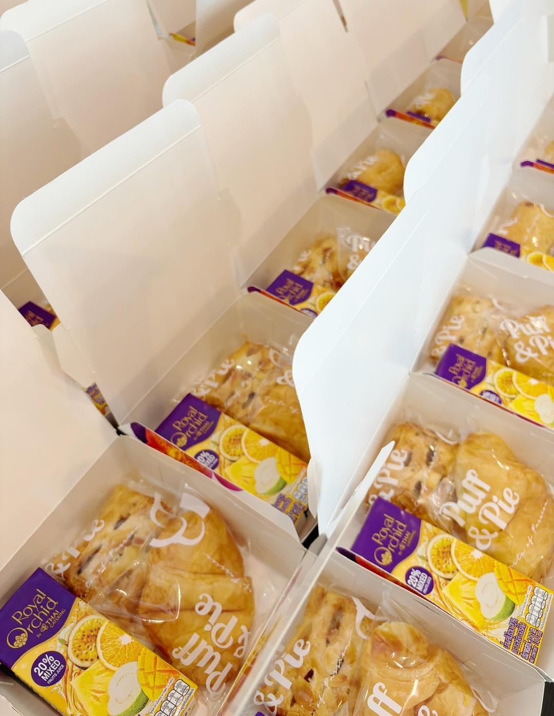 557593439 794906076630925 1716078663129476718 n 1.jpg